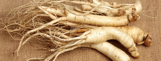 Unleashing the Power of Siberian Ginseng: A Potent Adaptogen